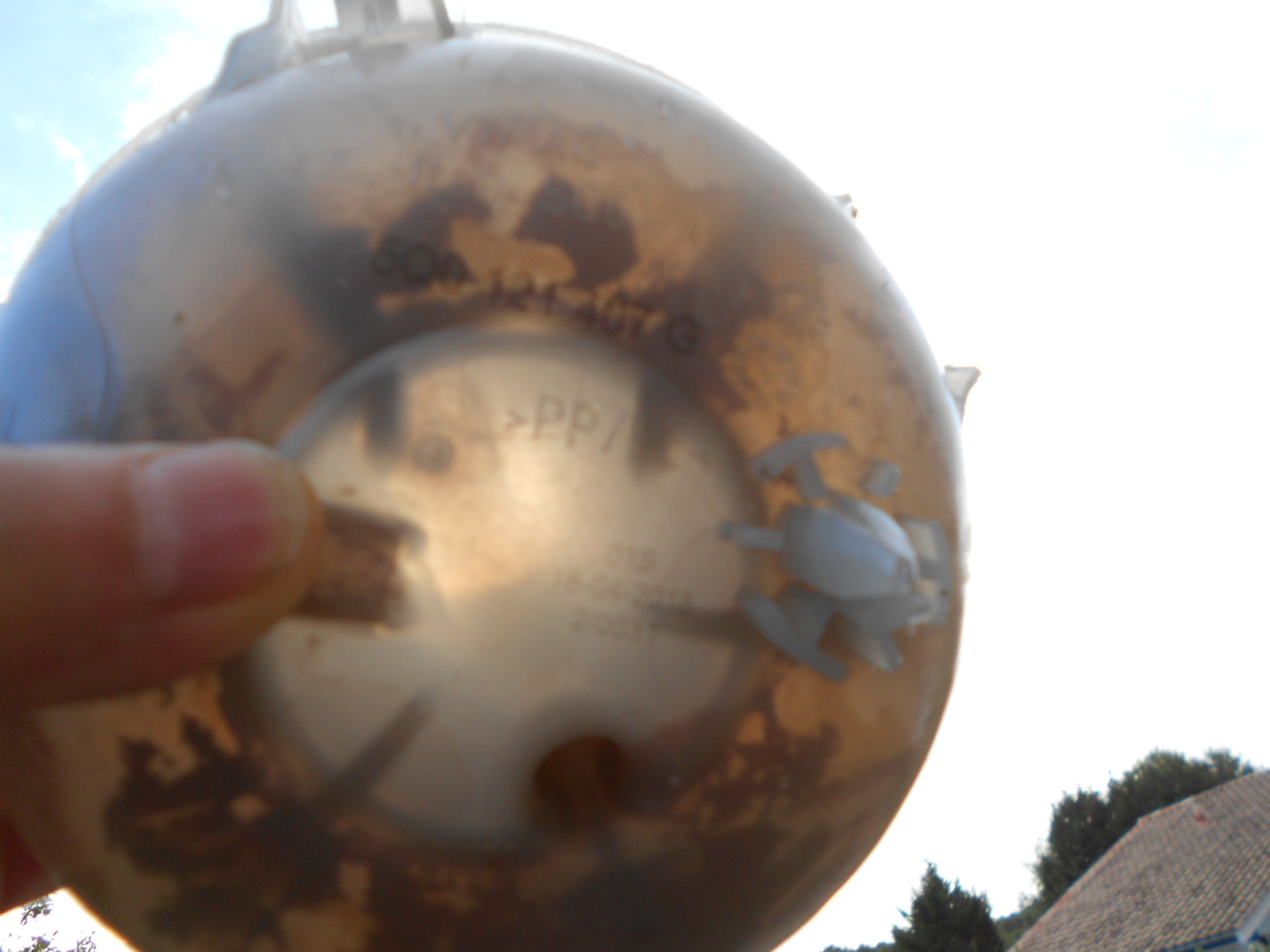 dscn0411-57c7918.jpg