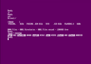 head-57355a7.png